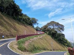 -黄埔油麻山森林公园