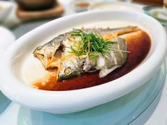 清蒸大黄鱼-樱苑(四川北路店)