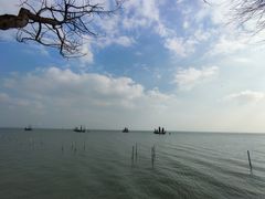 -贡湖湾湿地公园