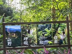 -七仙岭君澜度假酒店·桃源小馆中餐厅