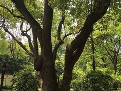 -徐家汇源景区-衡山公园