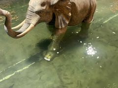 -光头佬钓虾场·烧烤·聚餐·亲子(金沙洲店)