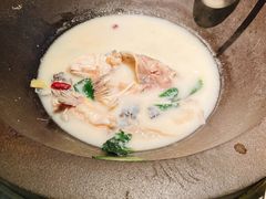 -鲜潭蒸汽石锅鱼(五道口购物中心店)