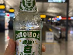 -广州白云国际机场-T2航站楼