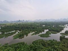 -会仙湿地