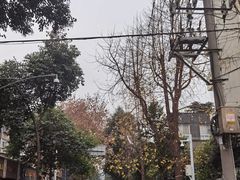 -怪老头甜不辣(抚琴小区店)