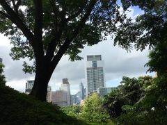 -九龙公园