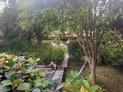 -咸宁万豪温泉谷度假区