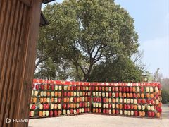 -梁鸿国家湿地公园