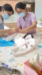 -禧月荟S月子中心(侨城店)