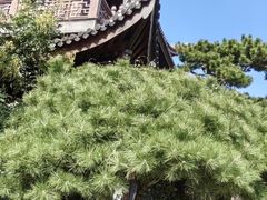 -龙华素斋(龙华路店)