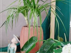-相遇·川湘融合菜(丹阳吾悦广场店)