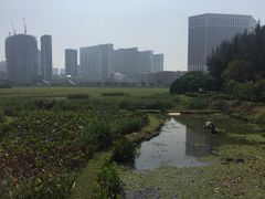 -龙环葡韵住宅式博物馆