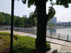 -后襄河公园