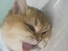 -达爱动物医院·犬猫分区·CT·复杂眼科(远洋山水分院)