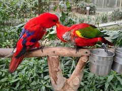 -南宫五洲植物乐园