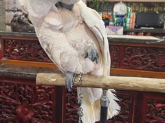 -四海楼(如皋定慧禅寺店)