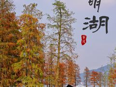 -四明湖