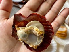 -叶存利海鲜大馅饺子(海宁路总店)