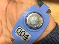 -翡翠湖迎宾馆·游泳馆