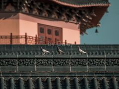 -博鳌禅寺