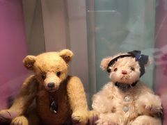 -济州岛泰迪熊博物馆