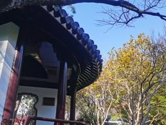 -秋霞圃