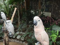 -南宫五洲植物乐园