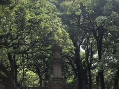 -普陀山风景名胜区-法雨禅寺