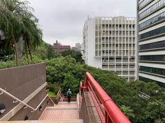 -香港大学