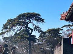 -沈阳市东陵公园