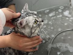 -安安宠医·臻爱宠物医院·宠保定点(营门口路分院)