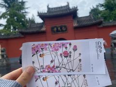 -洛阳白马寺