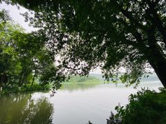 -茅家埠