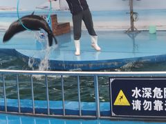 -无锡海洋馆
