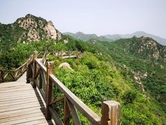 -大岭沟猕猴桃谷风景区