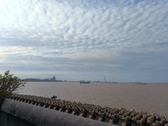-上海滨江森林公园