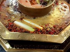 -蜀九香火锅(九眼桥店)