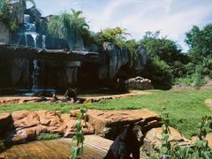-海南热带野生动植物园