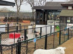 -太阳岛度假酒店