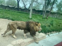 -北京野生动物园