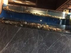 -星伦多 自助料理(圆融店)
