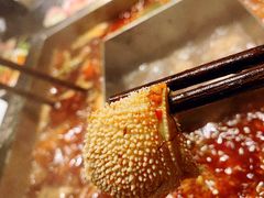 -蜀九香火锅(彩虹店)