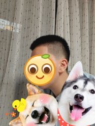 -595barbershop美式油头