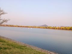 -羊山湖公园