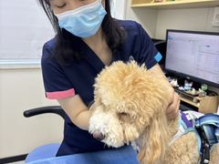 -美联众合动物医院·24h京西诊疗中心