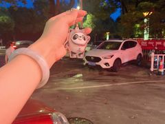 -程新大酒店(常州龙虎塘店)