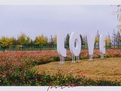 -嘉北郊野公园
