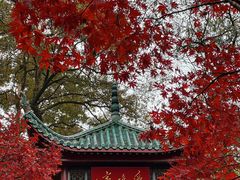 -岳麓山风景名胜区