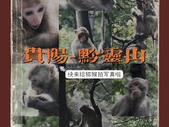 -黔灵山公园